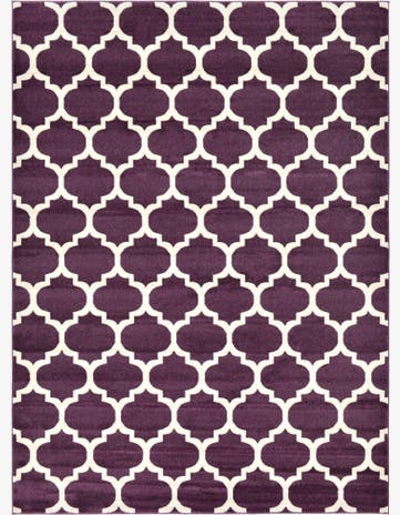 8' x 11' Trellis Rug