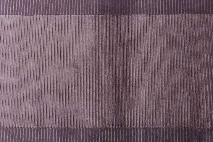 2' 7 x 9' 9 Hand Knotted Darya Wool Runner Rug