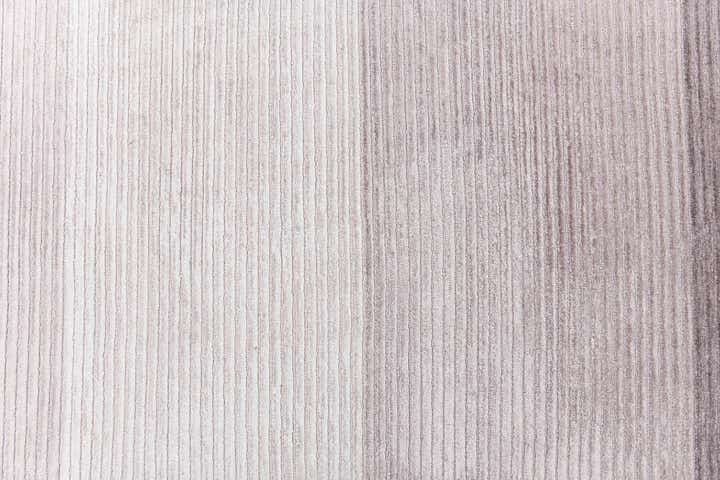 2' 7 x 13' 3 Darya Runner Rug