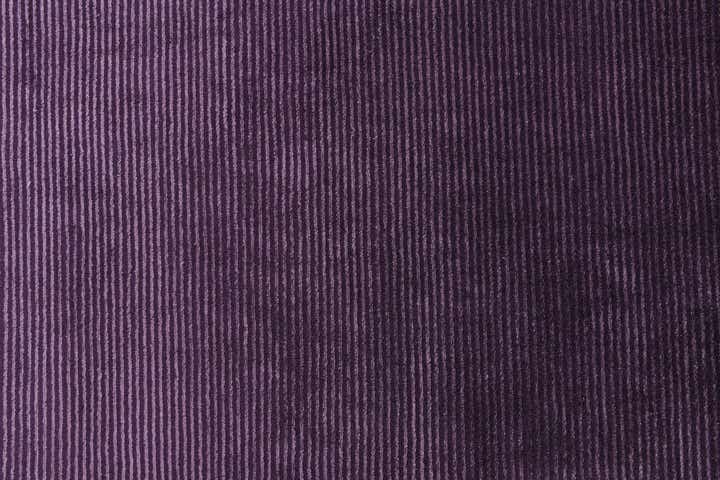 2' 8 x 13' 3 Darya Runner Rug