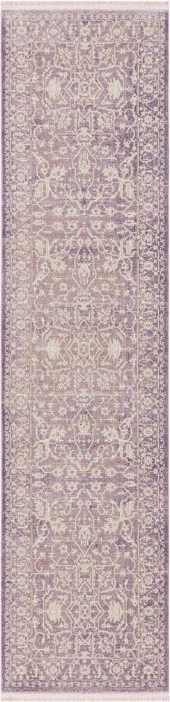 2' 7 x 10' Modern Classical Runner Rug