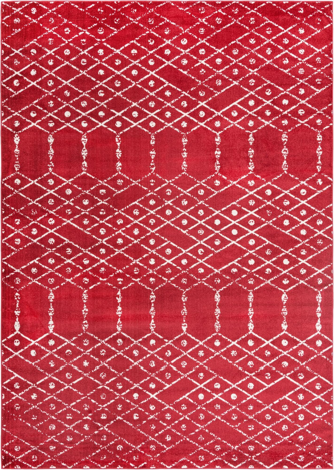 Primary image 10' x 14' Paxon Trellis Rug