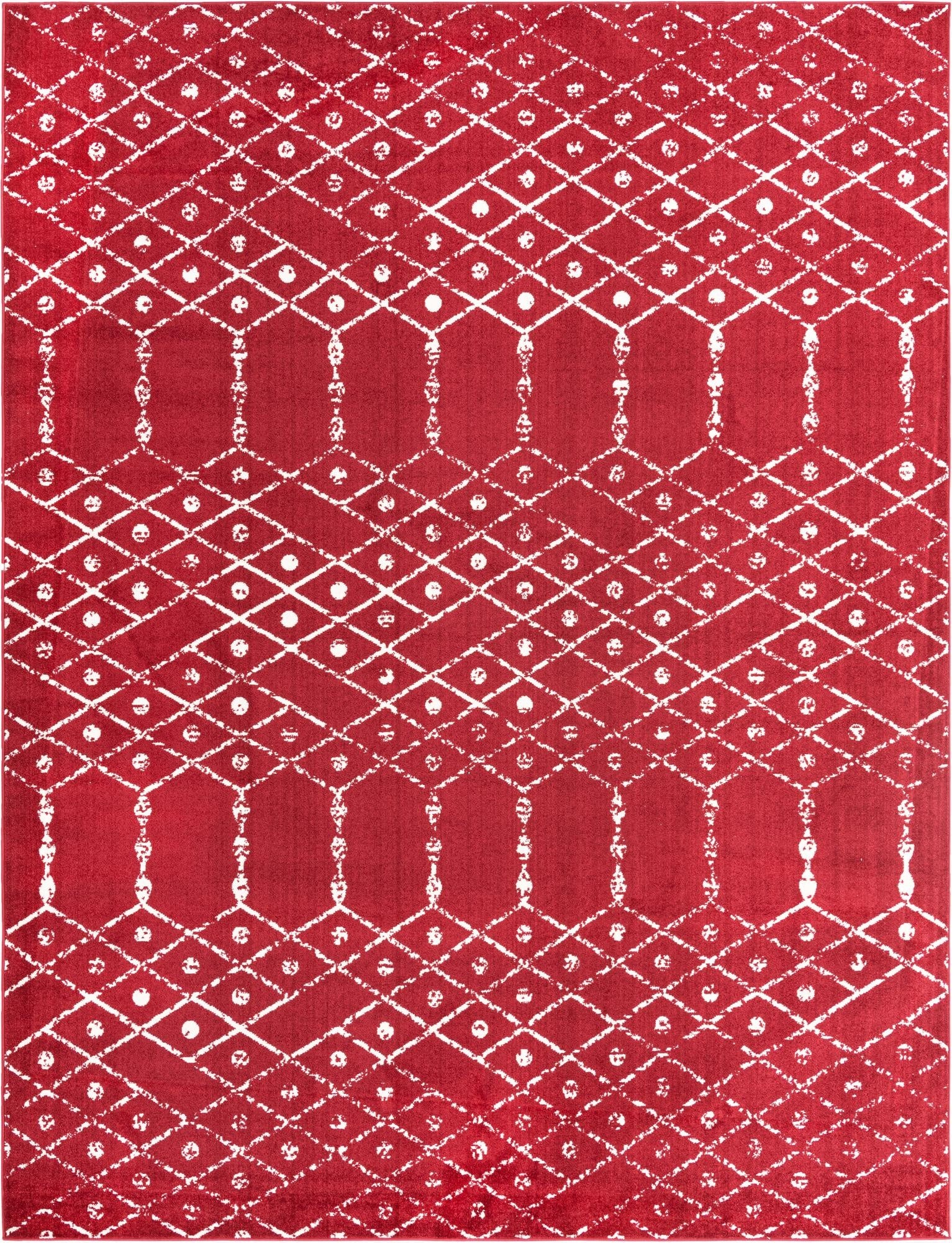 Primary image 10' x 13' Paxon Trellis Rug