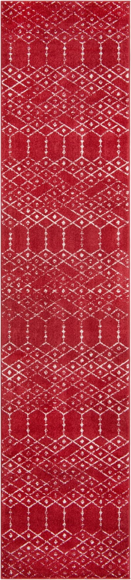 Primary image 3' x 13' Paxon Trellis Runner Rug