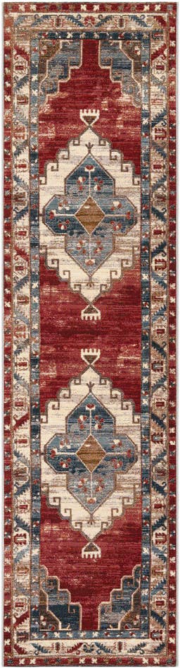 Detail image of 2' 7 x 10' Easy-Clean Traditional Indoor / Outdoor Runner Rug