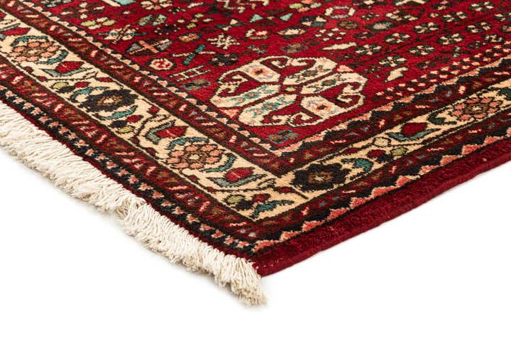 4' 9 x 6' 4 Abadeh Rug