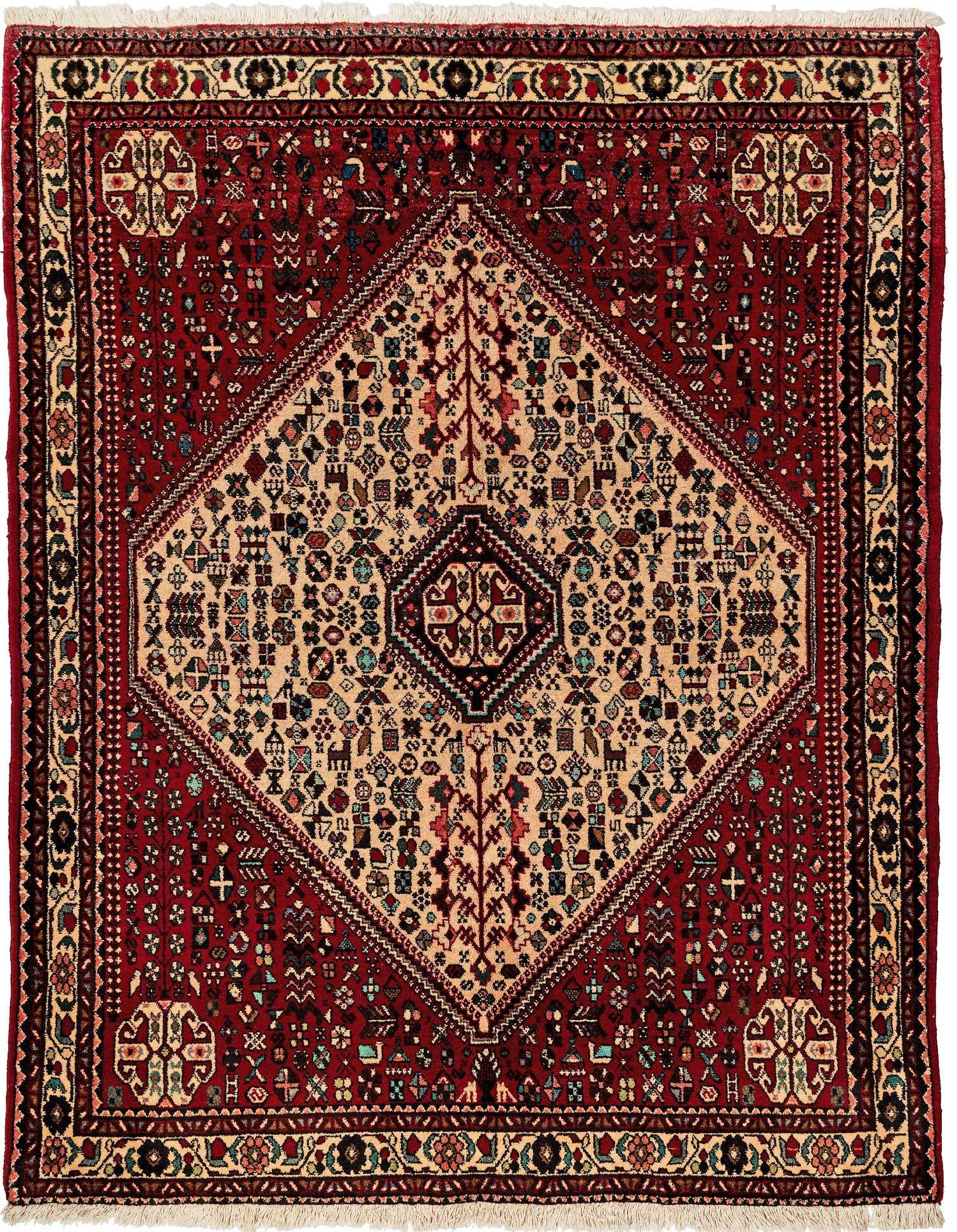 4' 9 x 6' 4 Abadeh Rug