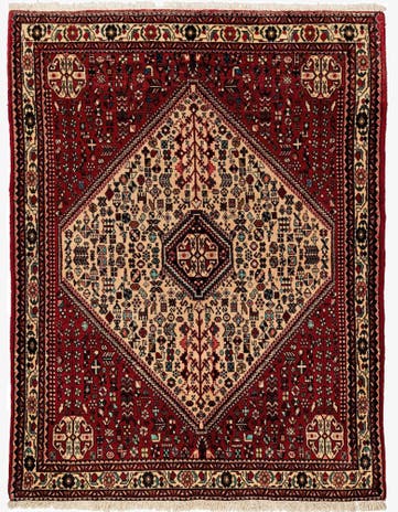 4' 9 x 6' 4 Abadeh Rug