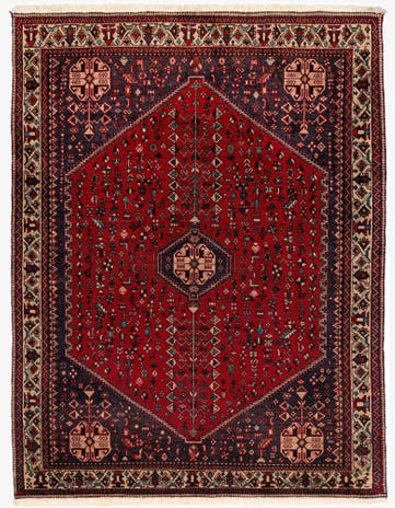 4' 11 x 6' 5 Abadeh Rug
