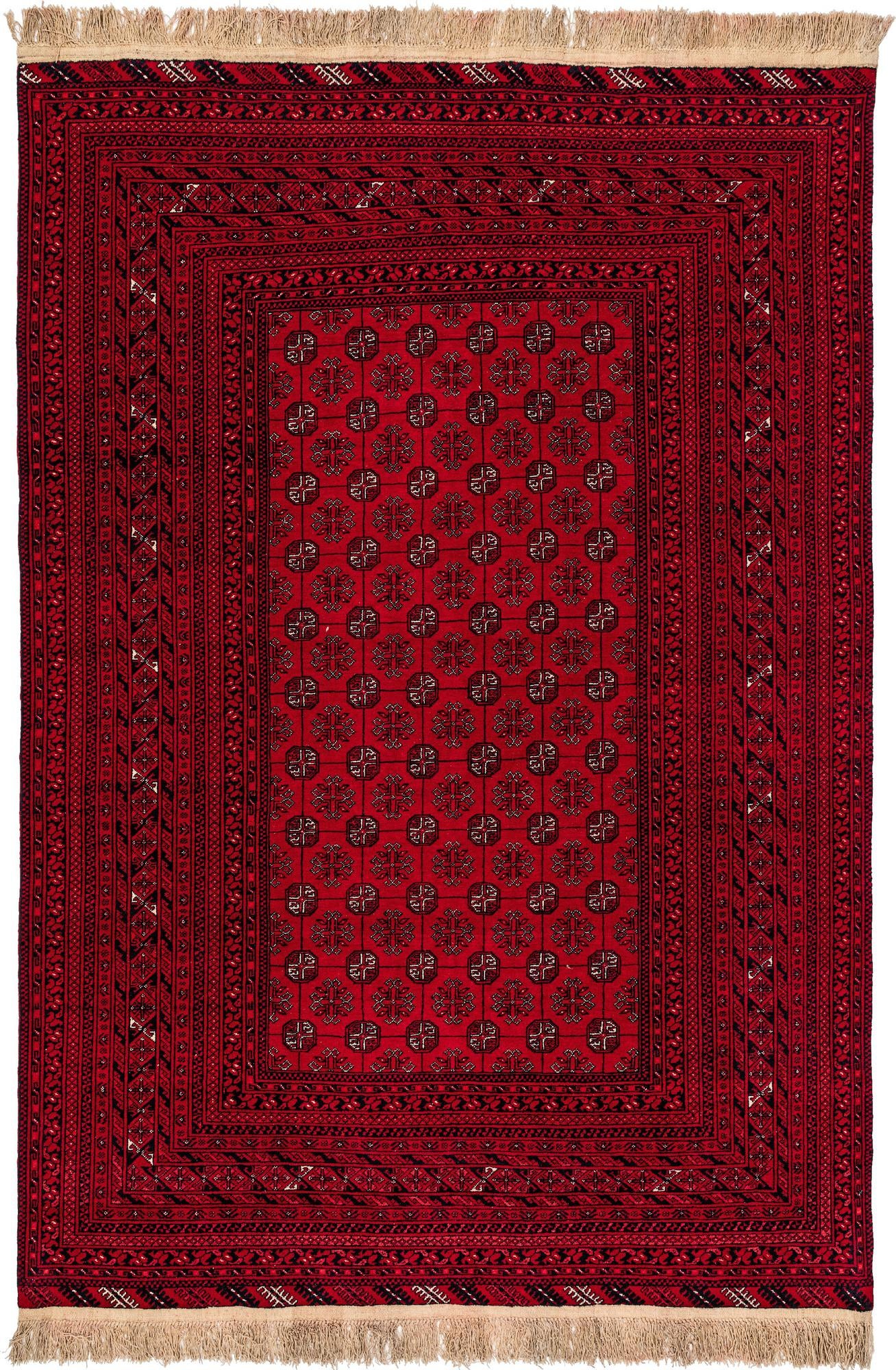 6' 7 x 9' 10 Hand Knotted Afghan Akhche Wool Rug