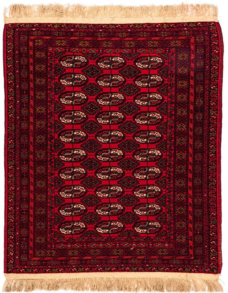 Detail image of 3' 5 x 6' 7 Hand Knotted Afghan Akhche Wool Rug