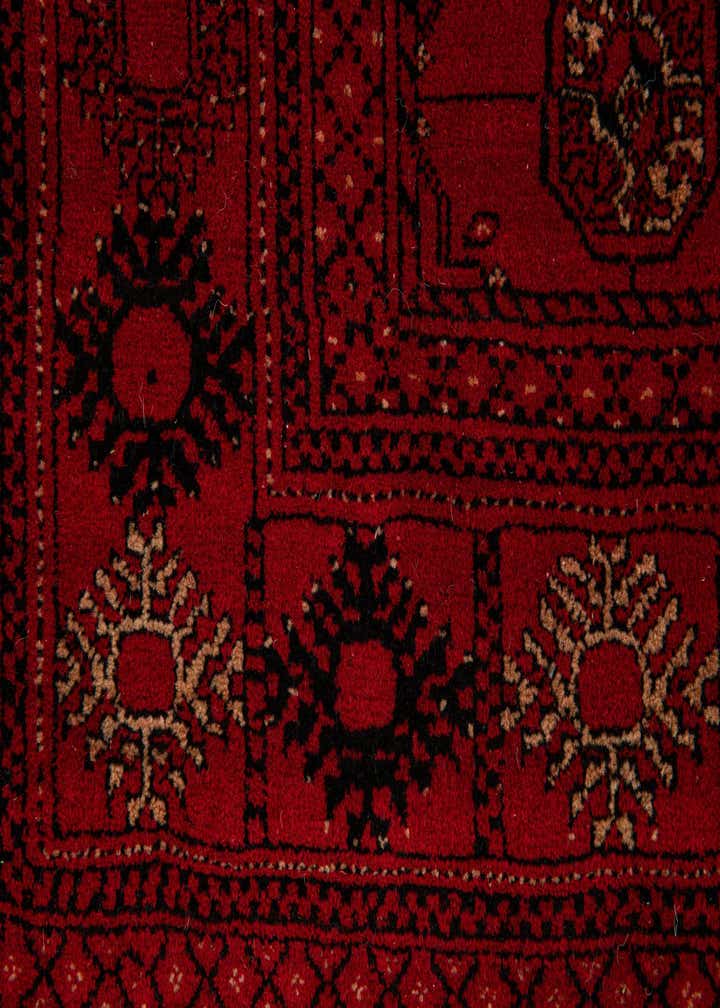 4' 2 x 6' 5 Hand Knotted Afghan Akhche Wool Rug