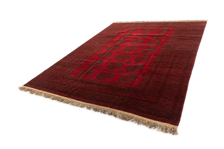 Detail image of 9' 9 x 12' 7 Hand Knotted Afghan Akhche Wool Rug