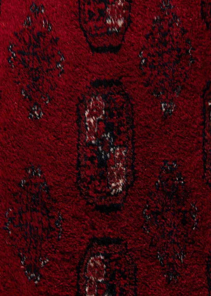 8' x 12' 5 Hand Knotted Afghan Akhche Wool Rug