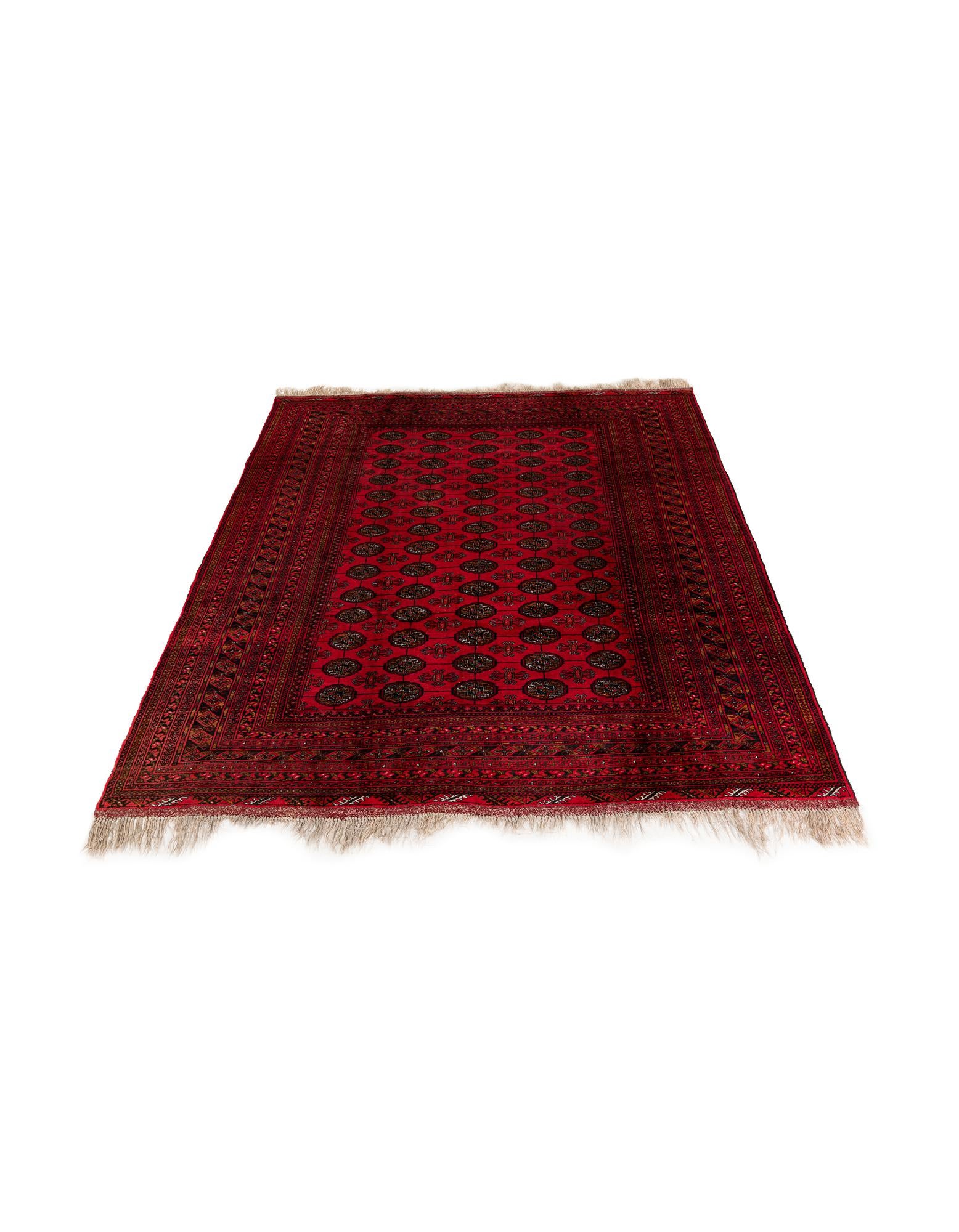 6' 8 x 9' 6 Hand Knotted Afghan Akhche Wool Rug