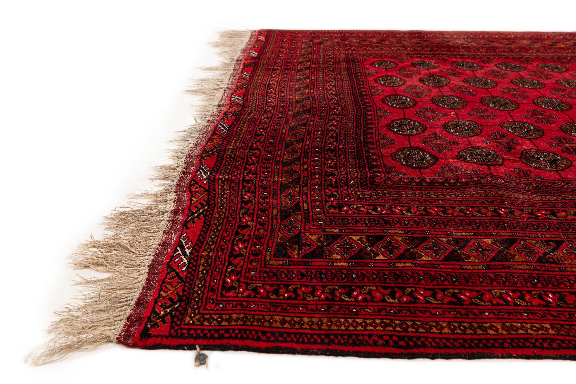 6' 8 x 9' 6 Hand Knotted Afghan Akhche Wool Rug