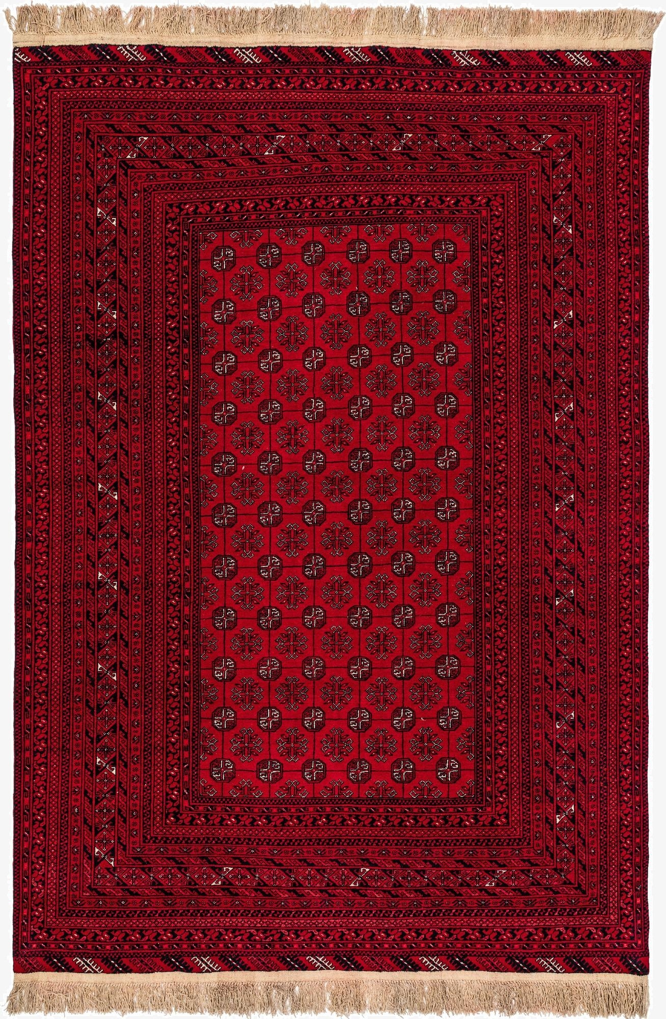 6' 7 x 9' 10  Hand Knotted Afghan Akhche Wool Rug