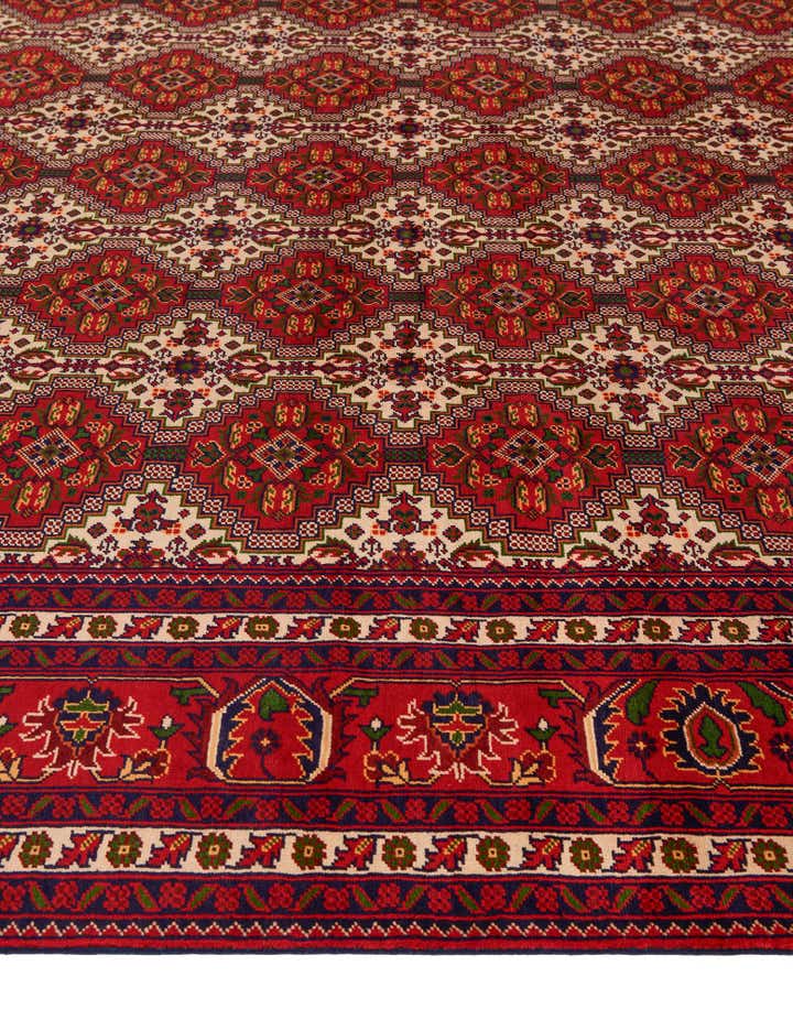 9' 10 x 16' 1 Hand Knotted Afghan Ersari Wool Rug