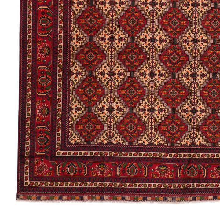 9' 10 x 16' 1 Hand Knotted Afghan Ersari Wool Rug