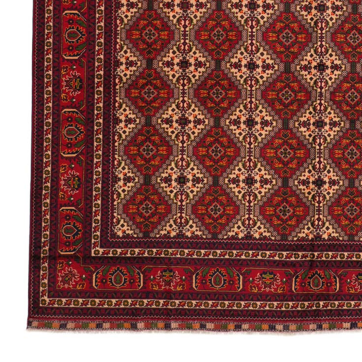 Detail image of 9' 10 x 16' 1 Hand Knotted Afghan Ersari Wool Rug