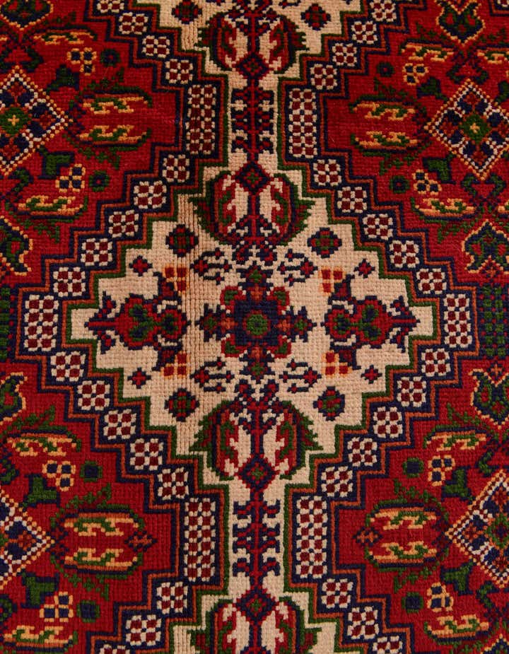 9' 10 x 16' 1 Hand Knotted Afghan Ersari Wool Rug