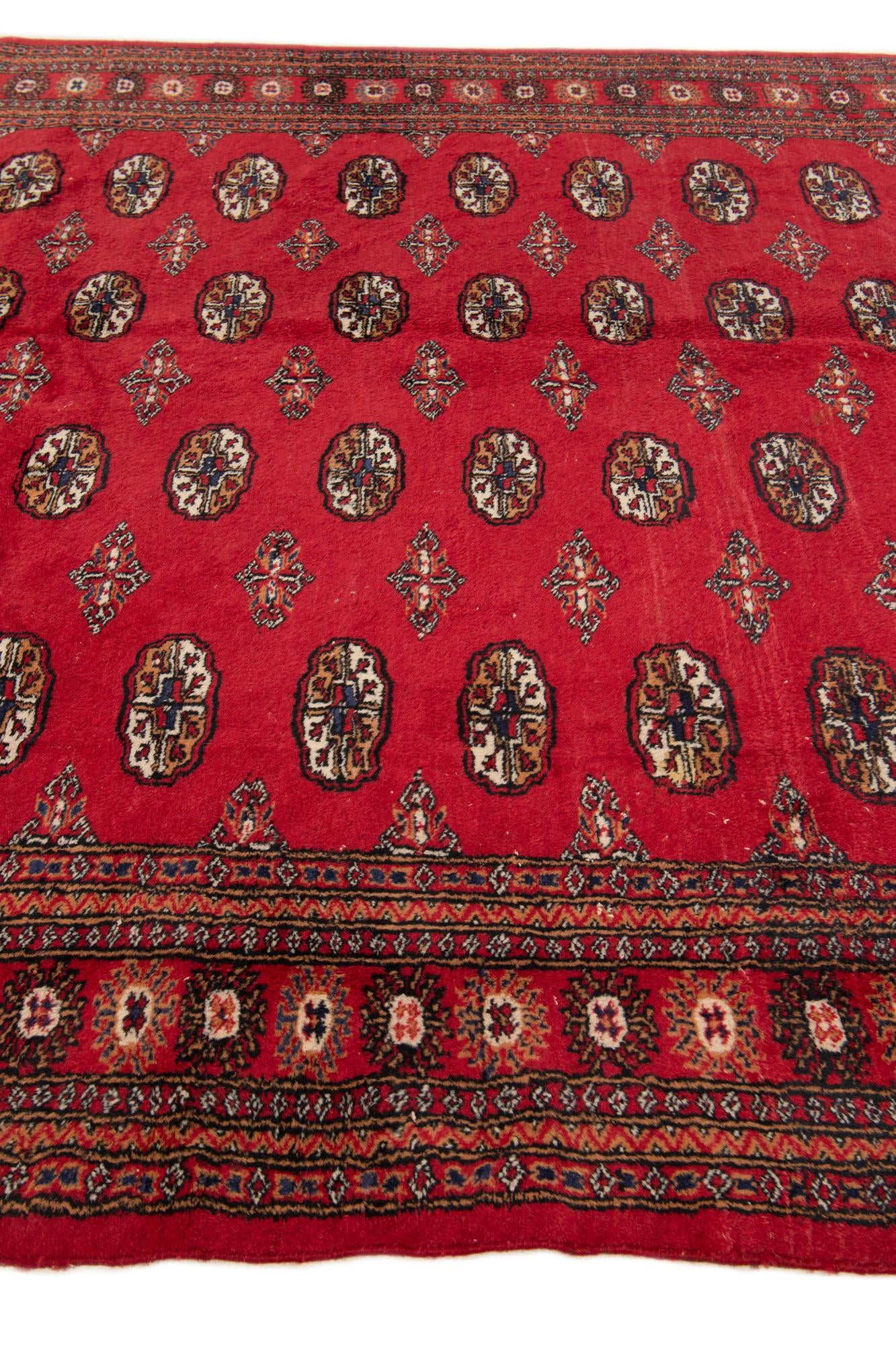 6' 1 x 9' 1 Hand Knotted Afghan Ersari Wool Rug
