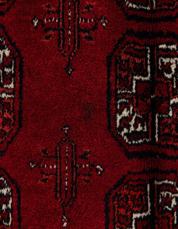Detail image of 8' 9 x 10' 8  Hand Knotted Afghan Ersari Wool Rug