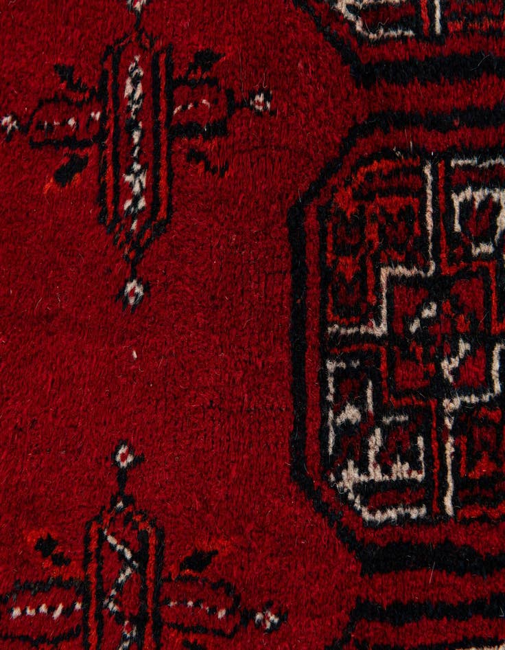 Detail image of 8' 9 x 10' 8  Hand Knotted Afghan Ersari Wool Rug