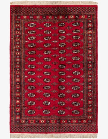 6' 1 x 9' 1 Hand Knotted Afghan Ersari Wool Rug