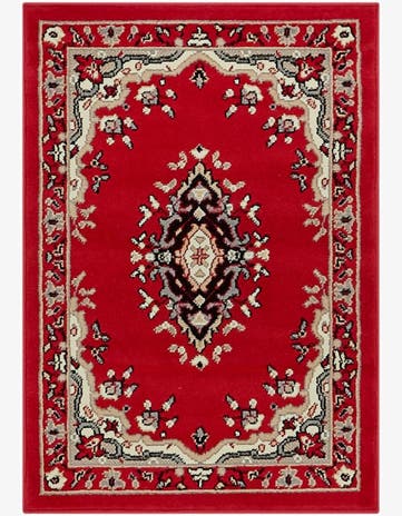 2' x 3' Amaya Rug
