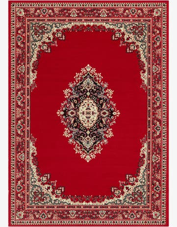 7' x 10' Amaya Rug