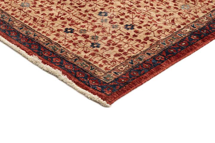9' 9 x 13' 9 Hand Knotted Amina Rug