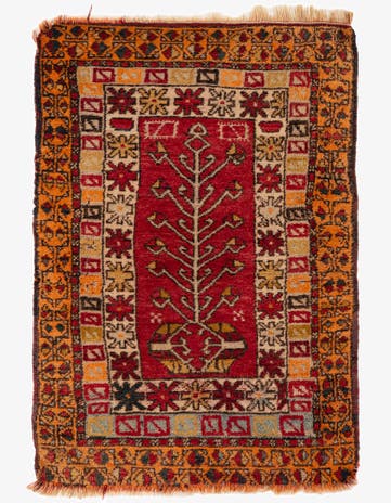 2' 10 x 4' 2 Hand Knotted Anatolian Wool Rug