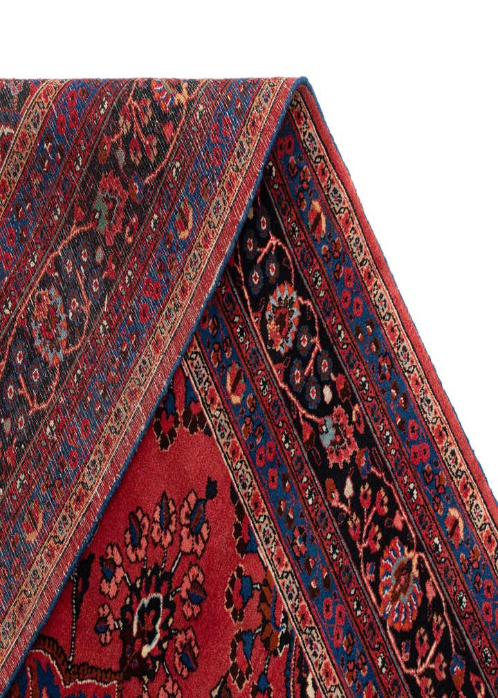 6' 8 x 9' 2 Arak Wool Rug
