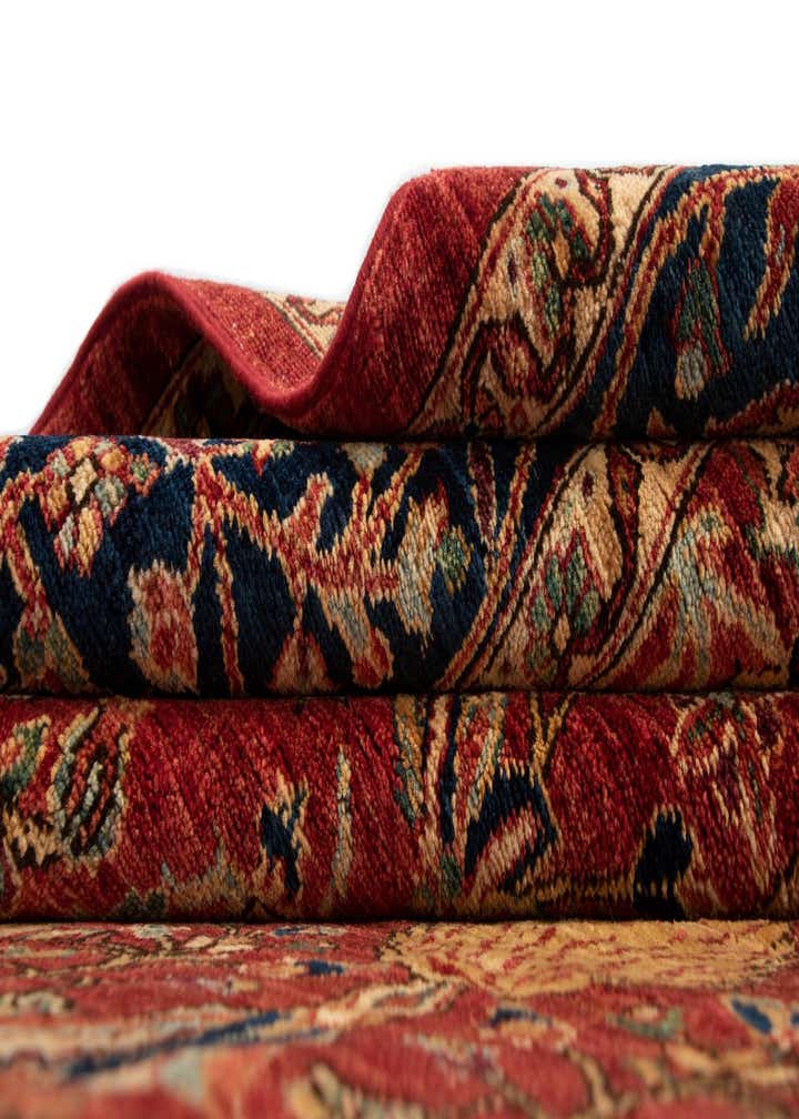 5' 8 x 7' 9 Ariana Ziegler Rug