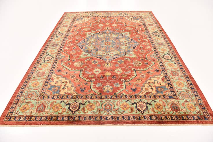 Detail image of 7' 3 x 9' 11 Hand Knotted Ariana Ziegler Oriental Rug