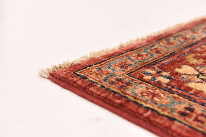 4' 9 x 6' 6 Hand Knotted Ariana Ziegler Rug