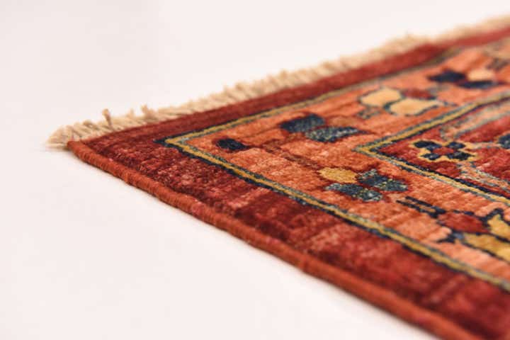 6' 2 x 8' Hand Knotted Ariana Ziegler Rug