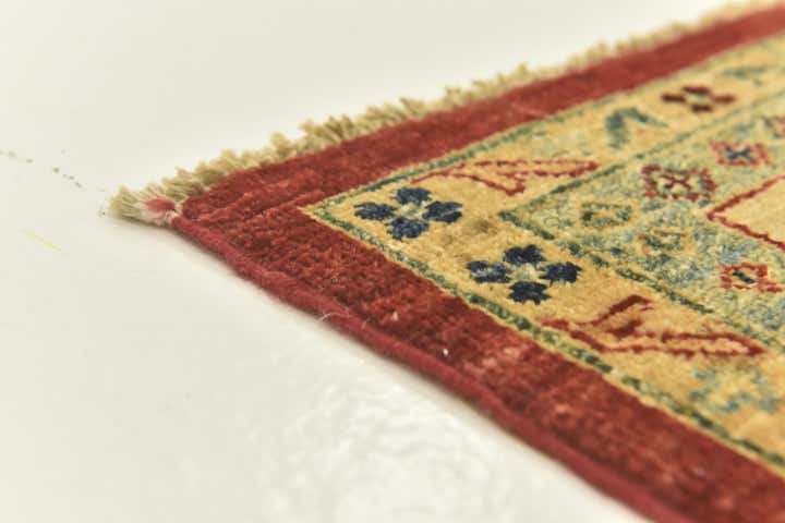 5' 8 x 7' 10 Hand Knotted Ariana Ziegler Rug