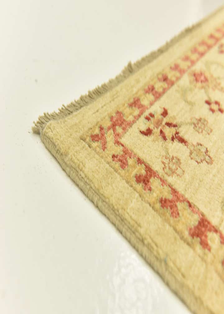 6' 10 x 9' 10 Hand Knotted Ariana Ziegler Rug