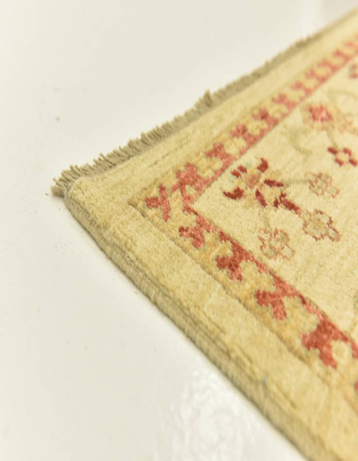 Detail image of 6' 10 x 9' 10  Hand Knotted Ariana Ziegler Rug