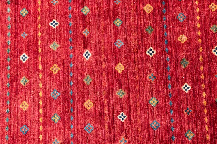 8' 2 x 9' 9 Hand Knotted Ariana Ziegler Oriental Rug