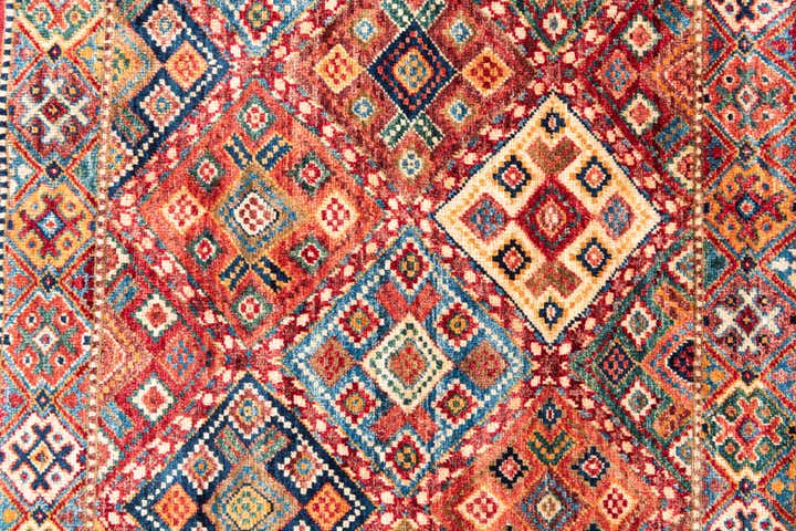 8' 2 x 9' 9 Hand Knotted Ariana Ziegler Oriental Rug