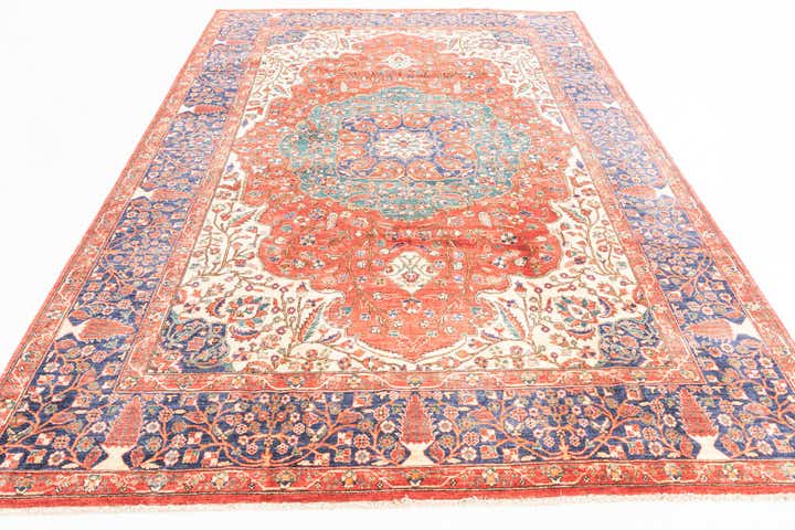 6' 6 x 10' 1 Hand Knotted Ariana Ziegler Oriental Rug