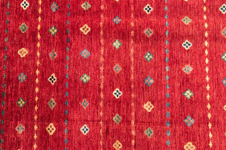 6' 9 x 9' 7 Hand Knotted Ariana Ziegler Oriental Rug