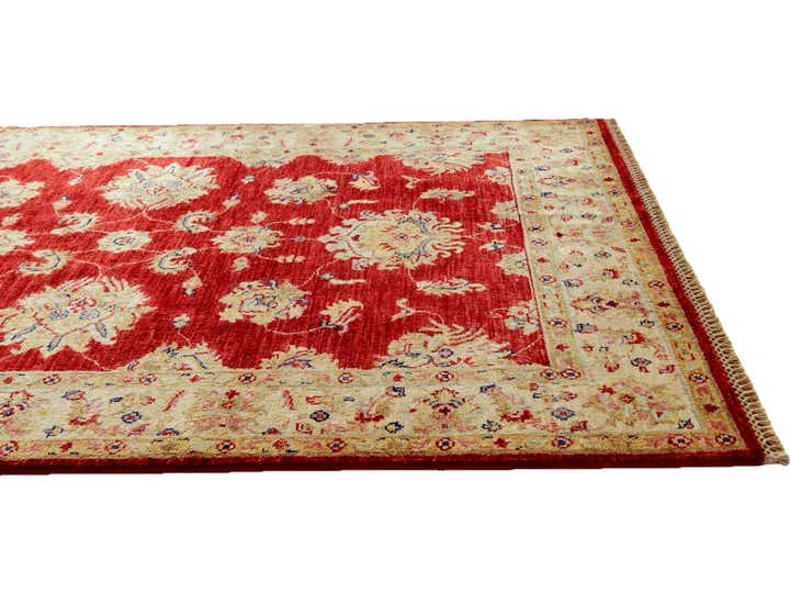 4' x 6' 2 Hand Knotted Ariana Ziegler Rug