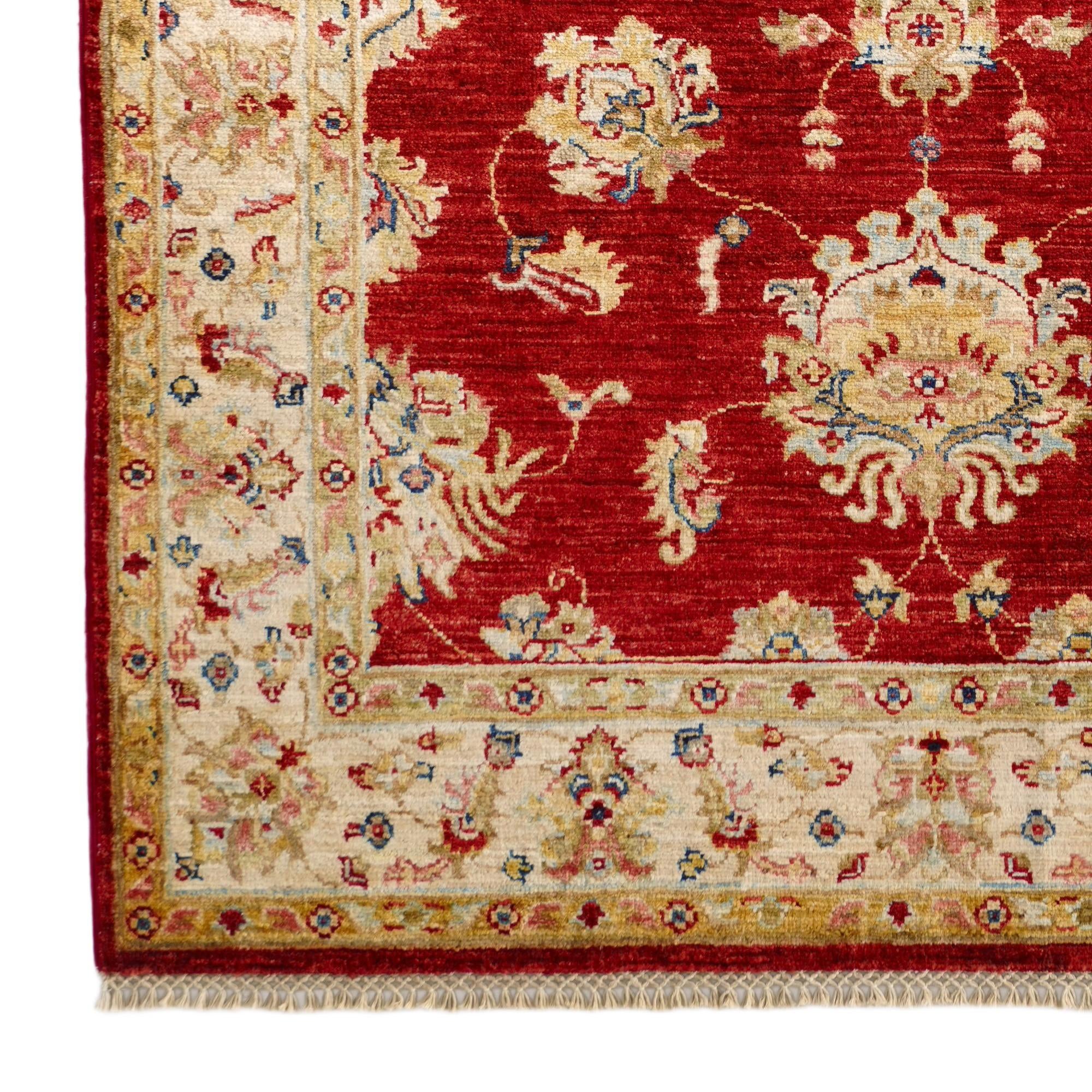 4' x 6' 2 Hand Knotted Ariana Ziegler Rug