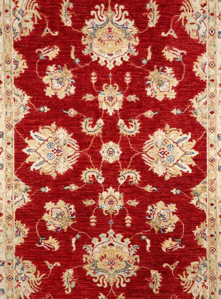 4' x 6' 2 Hand Knotted Ariana Ziegler Rug