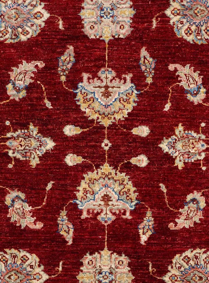 4' 1 x 6' Hand Knotted Ariana Ziegler Rug