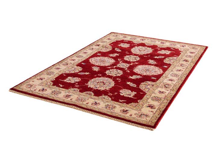 4' x 6' 2 Hand Knotted Ariana Ziegler Rug